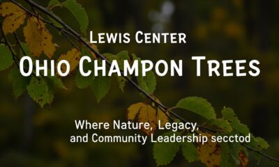 lewis center ohio champion trees