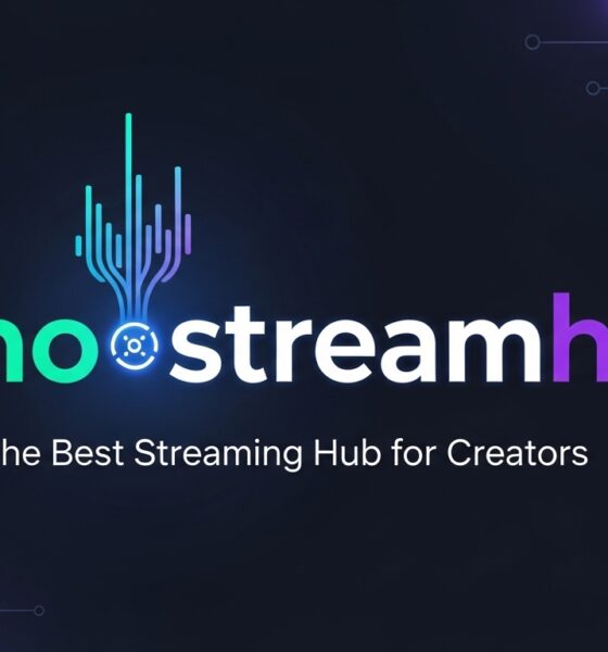 Echostreamhub